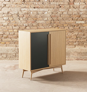 Meuble de rangement / buffet en chêne avec une porte en couleur