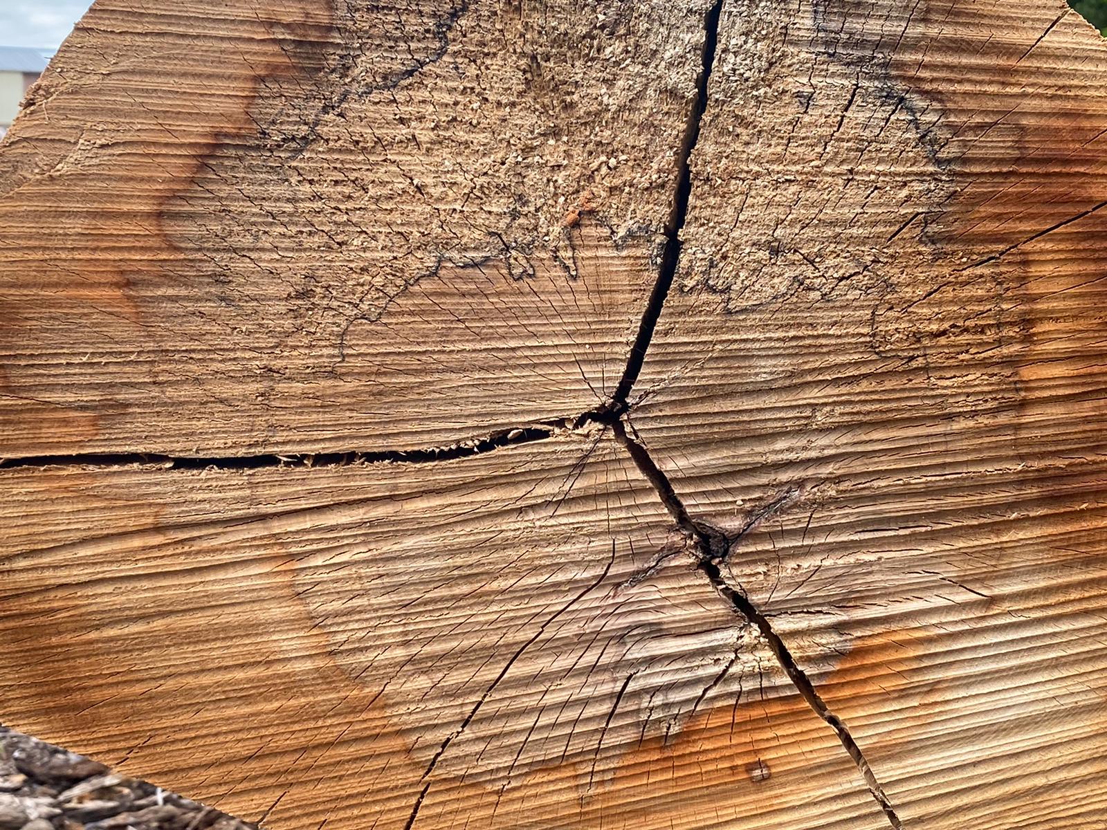 Comment choisir sa table basse en bois massif idéale, pour son salon ?